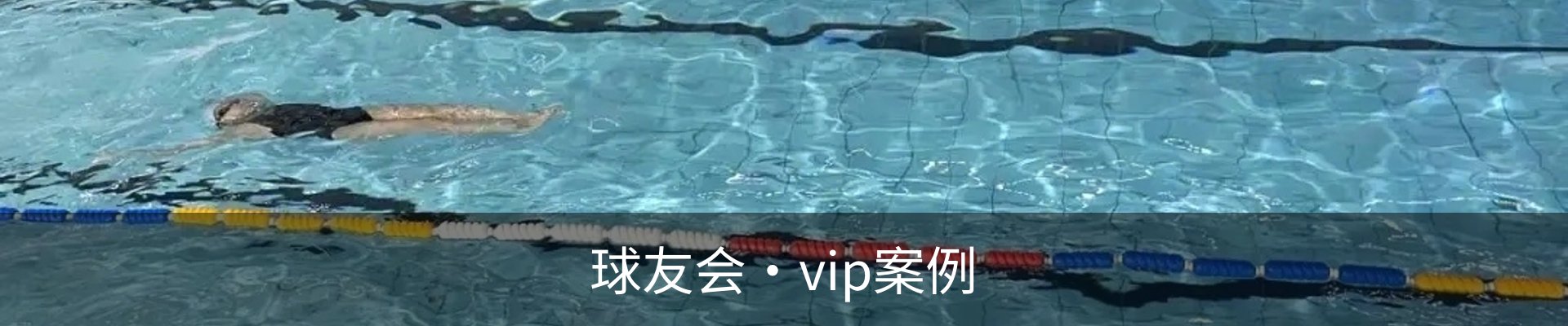 球友会·vip案例