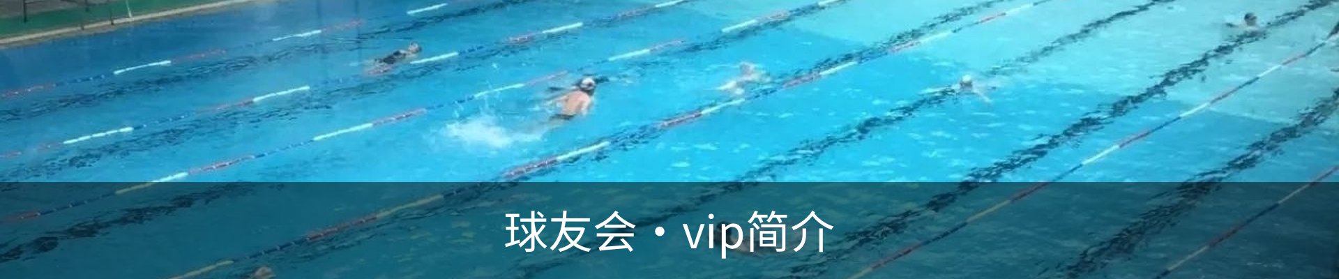 球友会·vip简介