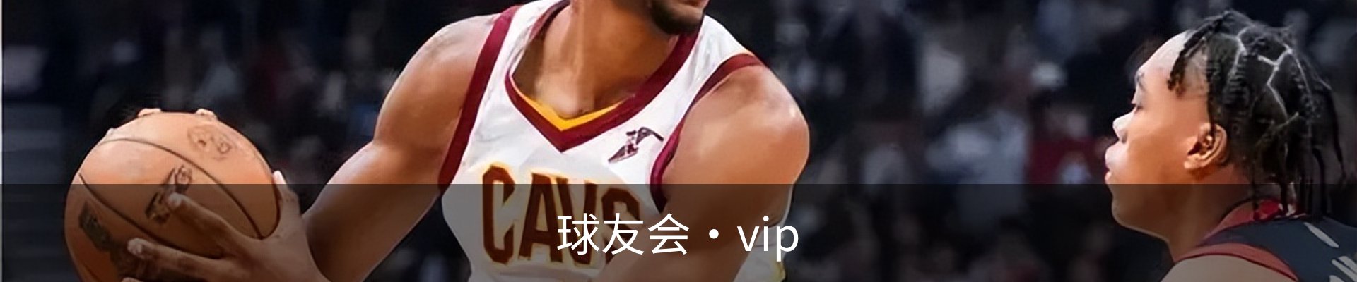 球友会·vip